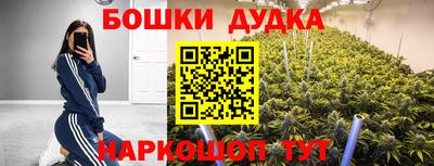 молекула духа Коммунар